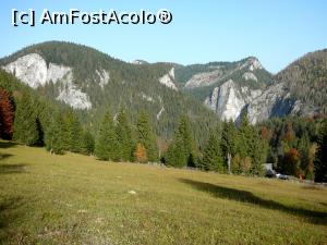 [P09] Prin poiana 'La Căprărie'. În stânga e Piatra Surducel iar în dreapta se văd primii pereţi ai Cheilor Bicăjelului » foto by urjanclaudiu
 - 
<span class="allrVoted glyphicon glyphicon-heart hidden" id="av733510"></span>
<a class="m-l-10 hidden" id="sv733510" onclick="voting_Foto_DelVot(,733510,9349)" role="button">șterge vot <span class="glyphicon glyphicon-remove"></span></a>
<a id="v9733510" class=" c-red"  onclick="voting_Foto_SetVot(733510)" role="button"><span class="glyphicon glyphicon-heart-empty"></span> <b>LIKE</b> = Votează poza</a> <img class="hidden"  id="f733510W9" src="/imagini/loader.gif" border="0" /><span class="AjErrMes hidden" id="e733510ErM"></span>