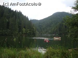 [P45] Lacul Roșu - lac de baraj natural.  » foto by Floryn81
 - 
<span class="allrVoted glyphicon glyphicon-heart hidden" id="av738021"></span>
<a class="m-l-10 hidden" id="sv738021" onclick="voting_Foto_DelVot(,738021,9349)" role="button">șterge vot <span class="glyphicon glyphicon-remove"></span></a>
<a id="v9738021" class=" c-red"  onclick="voting_Foto_SetVot(738021)" role="button"><span class="glyphicon glyphicon-heart-empty"></span> <b>LIKE</b> = Votează poza</a> <img class="hidden"  id="f738021W9" src="/imagini/loader.gif" border="0" /><span class="AjErrMes hidden" id="e738021ErM"></span>