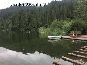 [P07] Lacul Roșu » foto by Yersinia Pestis
 - 
<span class="allrVoted glyphicon glyphicon-heart hidden" id="av1439364"></span>
<a class="m-l-10 hidden" id="sv1439364" onclick="voting_Foto_DelVot(,1439364,9349)" role="button">șterge vot <span class="glyphicon glyphicon-remove"></span></a>
<a id="v91439364" class=" c-red"  onclick="voting_Foto_SetVot(1439364)" role="button"><span class="glyphicon glyphicon-heart-empty"></span> <b>LIKE</b> = Votează poza</a> <img class="hidden"  id="f1439364W9" src="/imagini/loader.gif" border="0" /><span class="AjErrMes hidden" id="e1439364ErM"></span>