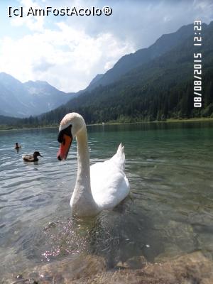 [P88]  -- <small>// FĂRĂ DESCRIERE</small> » foto by Alina53
 - 
<span class="allrVoted glyphicon glyphicon-heart hidden" id="av732439"></span>
<a class="m-l-10 hidden" id="sv732439" onclick="voting_Foto_DelVot(,732439,9363)" role="button">șterge vot <span class="glyphicon glyphicon-remove"></span></a>
<a id="v9732439" class=" c-red"  onclick="voting_Foto_SetVot(732439)" role="button"><span class="glyphicon glyphicon-heart-empty"></span> <b>LIKE</b> = Votează poza</a> <img class="hidden"  id="f732439W9" src="/imagini/loader.gif" border="0" /><span class="AjErrMes hidden" id="e732439ErM"></span>