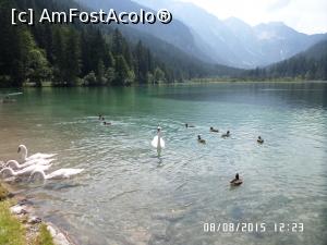 [P90] Jagersee » foto by Alina53
 - 
<span class="allrVoted glyphicon glyphicon-heart hidden" id="av732442"></span>
<a class="m-l-10 hidden" id="sv732442" onclick="voting_Foto_DelVot(,732442,9363)" role="button">șterge vot <span class="glyphicon glyphicon-remove"></span></a>
<a id="v9732442" class=" c-red"  onclick="voting_Foto_SetVot(732442)" role="button"><span class="glyphicon glyphicon-heart-empty"></span> <b>LIKE</b> = Votează poza</a> <img class="hidden"  id="f732442W9" src="/imagini/loader.gif" border="0" /><span class="AjErrMes hidden" id="e732442ErM"></span>