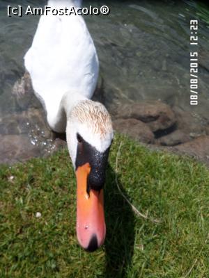[P91]  -- <small>// FĂRĂ DESCRIERE</small> » foto by Alina53
 - 
<span class="allrVoted glyphicon glyphicon-heart hidden" id="av732443"></span>
<a class="m-l-10 hidden" id="sv732443" onclick="voting_Foto_DelVot(,732443,9363)" role="button">șterge vot <span class="glyphicon glyphicon-remove"></span></a>
<a id="v9732443" class=" c-red"  onclick="voting_Foto_SetVot(732443)" role="button"><span class="glyphicon glyphicon-heart-empty"></span> <b>LIKE</b> = Votează poza</a> <img class="hidden"  id="f732443W9" src="/imagini/loader.gif" border="0" /><span class="AjErrMes hidden" id="e732443ErM"></span>