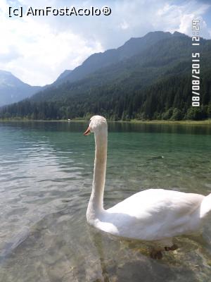 [P92]  -- <small>// FĂRĂ DESCRIERE</small> » foto by Alina53
 - 
<span class="allrVoted glyphicon glyphicon-heart hidden" id="av732444"></span>
<a class="m-l-10 hidden" id="sv732444" onclick="voting_Foto_DelVot(,732444,9363)" role="button">șterge vot <span class="glyphicon glyphicon-remove"></span></a>
<a id="v9732444" class=" c-red"  onclick="voting_Foto_SetVot(732444)" role="button"><span class="glyphicon glyphicon-heart-empty"></span> <b>LIKE</b> = Votează poza</a> <img class="hidden"  id="f732444W9" src="/imagini/loader.gif" border="0" /><span class="AjErrMes hidden" id="e732444ErM"></span>