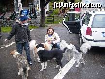 [P24] In parcare la Pestera Muierii, ne imprietenim cu cainii, cel din bratele meu este Zdreanta. » foto by anadragusin
 - 
<span class="allrVoted glyphicon glyphicon-heart hidden" id="av148082"></span>
<a class="m-l-10 hidden" id="sv148082" onclick="voting_Foto_DelVot(,148082,9382)" role="button">șterge vot <span class="glyphicon glyphicon-remove"></span></a>
<a id="v9148082" class=" c-red"  onclick="voting_Foto_SetVot(148082)" role="button"><span class="glyphicon glyphicon-heart-empty"></span> <b>LIKE</b> = Votează poza</a> <img class="hidden"  id="f148082W9" src="/imagini/loader.gif" border="0" /><span class="AjErrMes hidden" id="e148082ErM"></span>