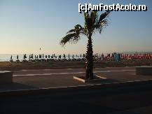 [P01] Am ajuns in Vasto dimineata la rasaeit. Ne-a surprins cum este ingrijita  palja » foto by adelinda
 - 
<span class="allrVoted glyphicon glyphicon-heart hidden" id="av224559"></span>
<a class="m-l-10 hidden" id="sv224559" onclick="voting_Foto_DelVot(,224559,9419)" role="button">șterge vot <span class="glyphicon glyphicon-remove"></span></a>
<a id="v9224559" class=" c-red"  onclick="voting_Foto_SetVot(224559)" role="button"><span class="glyphicon glyphicon-heart-empty"></span> <b>LIKE</b> = Votează poza</a> <img class="hidden"  id="f224559W9" src="/imagini/loader.gif" border="0" /><span class="AjErrMes hidden" id="e224559ErM"></span>