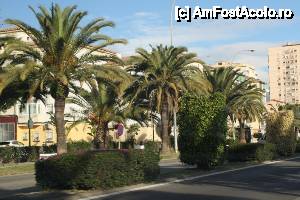 [P10] Palmierii sunt precum semințele de floarea-soarelui de la noi de pe trotuare: peste tot te împiedici de ei. La ieșirea din Malaga.  » foto by le_maitre
 - 
<span class="allrVoted glyphicon glyphicon-heart hidden" id="av487043"></span>
<a class="m-l-10 hidden" id="sv487043" onclick="voting_Foto_DelVot(,487043,9427)" role="button">șterge vot <span class="glyphicon glyphicon-remove"></span></a>
<a id="v9487043" class=" c-red"  onclick="voting_Foto_SetVot(487043)" role="button"><span class="glyphicon glyphicon-heart-empty"></span> <b>LIKE</b> = Votează poza</a> <img class="hidden"  id="f487043W9" src="/imagini/loader.gif" border="0" /><span class="AjErrMes hidden" id="e487043ErM"></span>