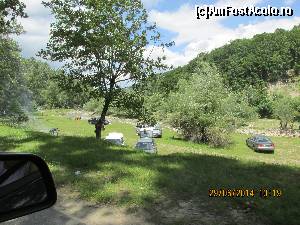 [P02] oameni si vite impartind aceeasi pasune » foto by adri-nico
 - 
<span class="allrVoted glyphicon glyphicon-heart hidden" id="av520420"></span>
<a class="m-l-10 hidden" id="sv520420" onclick="voting_Foto_DelVot(,520420,9447)" role="button">șterge vot <span class="glyphicon glyphicon-remove"></span></a>
<a id="v9520420" class=" c-red"  onclick="voting_Foto_SetVot(520420)" role="button"><span class="glyphicon glyphicon-heart-empty"></span> <b>LIKE</b> = Votează poza</a> <img class="hidden"  id="f520420W9" src="/imagini/loader.gif" border="0" /><span class="AjErrMes hidden" id="e520420ErM"></span>