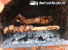 [P15] Berbecutul la protap » foto by dalumian
 - 
<span class="allrVoted glyphicon glyphicon-heart hidden" id="av291708"></span>
<a class="m-l-10 hidden" id="sv291708" onclick="voting_Foto_DelVot(,291708,9491)" role="button">șterge vot <span class="glyphicon glyphicon-remove"></span></a>
<a id="v9291708" class=" c-red"  onclick="voting_Foto_SetVot(291708)" role="button"><span class="glyphicon glyphicon-heart-empty"></span> <b>LIKE</b> = Votează poza</a> <img class="hidden"  id="f291708W9" src="/imagini/loader.gif" border="0" /><span class="AjErrMes hidden" id="e291708ErM"></span>