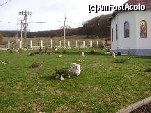 [P06] Manastirea Sf. Gheorghe Bunesti - se amenajeaza gradina » foto by biancuta
 - 
<span class="allrVoted glyphicon glyphicon-heart hidden" id="av171280"></span>
<a class="m-l-10 hidden" id="sv171280" onclick="voting_Foto_DelVot(,171280,9553)" role="button">șterge vot <span class="glyphicon glyphicon-remove"></span></a>
<a id="v9171280" class=" c-red"  onclick="voting_Foto_SetVot(171280)" role="button"><span class="glyphicon glyphicon-heart-empty"></span> <b>LIKE</b> = Votează poza</a> <img class="hidden"  id="f171280W9" src="/imagini/loader.gif" border="0" /><span class="AjErrMes hidden" id="e171280ErM"></span>