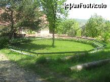 [P06] Am ajuns in curtea exterioara... oare aici se adunau cavalerii medievali pentru a dezbate problemele importante ale cetatii?...lipseste masa rotunda » foto by dorgo
 - 
<span class="allrVoted glyphicon glyphicon-heart hidden" id="av201062"></span>
<a class="m-l-10 hidden" id="sv201062" onclick="voting_Foto_DelVot(,201062,9553)" role="button">șterge vot <span class="glyphicon glyphicon-remove"></span></a>
<a id="v9201062" class=" c-red"  onclick="voting_Foto_SetVot(201062)" role="button"><span class="glyphicon glyphicon-heart-empty"></span> <b>LIKE</b> = Votează poza</a> <img class="hidden"  id="f201062W9" src="/imagini/loader.gif" border="0" /><span class="AjErrMes hidden" id="e201062ErM"></span>