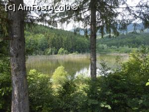 [P01] Lacul Cuejdel - cel mai tânăr lac de baraj natural din România. » foto by iulianic
 - 
<span class="allrVoted glyphicon glyphicon-heart hidden" id="av1182287"></span>
<a class="m-l-10 hidden" id="sv1182287" onclick="voting_Foto_DelVot(,1182287,9631)" role="button">șterge vot <span class="glyphicon glyphicon-remove"></span></a>
<a id="v91182287" class=" c-red"  onclick="voting_Foto_SetVot(1182287)" role="button"><span class="glyphicon glyphicon-heart-empty"></span> <b>LIKE</b> = Votează poza</a> <img class="hidden"  id="f1182287W9" src="/imagini/loader.gif" border="0" /><span class="AjErrMes hidden" id="e1182287ErM"></span>