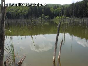 [P06] Lacul Cuejdel - cel mai tânăr lac de baraj natural din România. » foto by iulianic
 - 
<span class="allrVoted glyphicon glyphicon-heart hidden" id="av1182292"></span>
<a class="m-l-10 hidden" id="sv1182292" onclick="voting_Foto_DelVot(,1182292,9631)" role="button">șterge vot <span class="glyphicon glyphicon-remove"></span></a>
<a id="v91182292" class=" c-red"  onclick="voting_Foto_SetVot(1182292)" role="button"><span class="glyphicon glyphicon-heart-empty"></span> <b>LIKE</b> = Votează poza</a> <img class="hidden"  id="f1182292W9" src="/imagini/loader.gif" border="0" /><span class="AjErrMes hidden" id="e1182292ErM"></span>