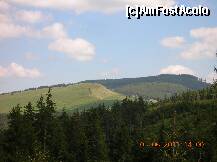 [P24] Vîrful Bivolul - cel mai înalt din Munţii Stînişoarei - 1530 m - în apropierea Crucii Talienilor (tehnic vorbind totuşi, aceasta se află cam la 1,5 km în spatele meu ...) » foto by Qvadratvus
 - 
<span class="allrVoted glyphicon glyphicon-heart hidden" id="av206440"></span>
<a class="m-l-10 hidden" id="sv206440" onclick="voting_Foto_DelVot(,206440,9631)" role="button">șterge vot <span class="glyphicon glyphicon-remove"></span></a>
<a id="v9206440" class=" c-red"  onclick="voting_Foto_SetVot(206440)" role="button"><span class="glyphicon glyphicon-heart-empty"></span> <b>LIKE</b> = Votează poza</a> <img class="hidden"  id="f206440W9" src="/imagini/loader.gif" border="0" /><span class="AjErrMes hidden" id="e206440ErM"></span>