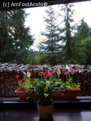 [P17] Fereastră largă și decor montan.  » foto by tata123 🔱
 - 
<span class="allrVoted glyphicon glyphicon-heart hidden" id="av1098830"></span>
<a class="m-l-10 hidden" id="sv1098830" onclick="voting_Foto_DelVot(,1098830,9635)" role="button">șterge vot <span class="glyphicon glyphicon-remove"></span></a>
<a id="v91098830" class=" c-red"  onclick="voting_Foto_SetVot(1098830)" role="button"><span class="glyphicon glyphicon-heart-empty"></span> <b>LIKE</b> = Votează poza</a> <img class="hidden"  id="f1098830W9" src="/imagini/loader.gif" border="0" /><span class="AjErrMes hidden" id="e1098830ErM"></span>