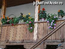 [P06] Florile de pe pridvorul chiliilor » foto by dannek
 - 
<span class="allrVoted glyphicon glyphicon-heart hidden" id="av161872"></span>
<a class="m-l-10 hidden" id="sv161872" onclick="voting_Foto_DelVot(,161872,9640)" role="button">șterge vot <span class="glyphicon glyphicon-remove"></span></a>
<a id="v9161872" class=" c-red"  onclick="voting_Foto_SetVot(161872)" role="button"><span class="glyphicon glyphicon-heart-empty"></span> <b>LIKE</b> = Votează poza</a> <img class="hidden"  id="f161872W9" src="/imagini/loader.gif" border="0" /><span class="AjErrMes hidden" id="e161872ErM"></span>
