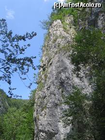 [P16] Vărfuri muntoase în chei » foto by Michi
 - 
<span class="allrVoted glyphicon glyphicon-heart hidden" id="av497080"></span>
<a class="m-l-10 hidden" id="sv497080" onclick="voting_Foto_DelVot(,497080,9640)" role="button">șterge vot <span class="glyphicon glyphicon-remove"></span></a>
<a id="v9497080" class=" c-red"  onclick="voting_Foto_SetVot(497080)" role="button"><span class="glyphicon glyphicon-heart-empty"></span> <b>LIKE</b> = Votează poza</a> <img class="hidden"  id="f497080W9" src="/imagini/loader.gif" border="0" /><span class="AjErrMes hidden" id="e497080ErM"></span>