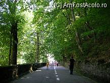 [P01] Drumul spre manastire, liniste si racoare » foto by ancamariagadea*
 - 
<span class="allrVoted glyphicon glyphicon-heart hidden" id="av78078"></span>
<a class="m-l-10 hidden" id="sv78078" onclick="voting_Foto_DelVot(,78078,9654)" role="button">șterge vot <span class="glyphicon glyphicon-remove"></span></a>
<a id="v978078" class=" c-red"  onclick="voting_Foto_SetVot(78078)" role="button"><span class="glyphicon glyphicon-heart-empty"></span> <b>LIKE</b> = Votează poza</a> <img class="hidden"  id="f78078W9" src="/imagini/loader.gif" border="0" /><span class="AjErrMes hidden" id="e78078ErM"></span>