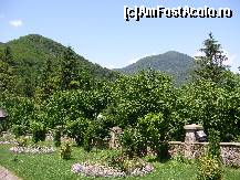 [P10] Manastirea Tismana, imprejurimi » foto by ancamariagadea*
 - 
<span class="allrVoted glyphicon glyphicon-heart hidden" id="av78087"></span>
<a class="m-l-10 hidden" id="sv78087" onclick="voting_Foto_DelVot(,78087,9654)" role="button">șterge vot <span class="glyphicon glyphicon-remove"></span></a>
<a id="v978087" class=" c-red"  onclick="voting_Foto_SetVot(78087)" role="button"><span class="glyphicon glyphicon-heart-empty"></span> <b>LIKE</b> = Votează poza</a> <img class="hidden"  id="f78087W9" src="/imagini/loader.gif" border="0" /><span class="AjErrMes hidden" id="e78087ErM"></span>