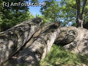 [P30] Sanctuarul tracic Beglik Taş - ceasul solar » foto by nicole33
 - 
<span class="allrVoted glyphicon glyphicon-heart hidden" id="av964331"></span>
<a class="m-l-10 hidden" id="sv964331" onclick="voting_Foto_DelVot(,964331,9723)" role="button">șterge vot <span class="glyphicon glyphicon-remove"></span></a>
<a id="v9964331" class=" c-red"  onclick="voting_Foto_SetVot(964331)" role="button"><span class="glyphicon glyphicon-heart-empty"></span> <b>LIKE</b> = Votează poza</a> <img class="hidden"  id="f964331W9" src="/imagini/loader.gif" border="0" /><span class="AjErrMes hidden" id="e964331ErM"></span>