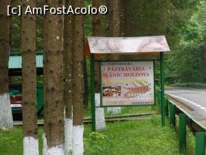 [P02] Restaurant “Casa Montană” - Păstrăvăria Slănic Moldova. » foto by iulianic
 - 
<span class="allrVoted glyphicon glyphicon-heart hidden" id="av1229708"></span>
<a class="m-l-10 hidden" id="sv1229708" onclick="voting_Foto_DelVot(,1229708,9750)" role="button">șterge vot <span class="glyphicon glyphicon-remove"></span></a>
<a id="v91229708" class=" c-red"  onclick="voting_Foto_SetVot(1229708)" role="button"><span class="glyphicon glyphicon-heart-empty"></span> <b>LIKE</b> = Votează poza</a> <img class="hidden"  id="f1229708W9" src="/imagini/loader.gif" border="0" /><span class="AjErrMes hidden" id="e1229708ErM"></span>