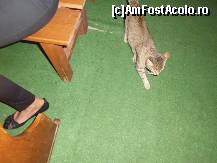 [P05]  -- <small>// FĂRĂ DESCRIERE</small> » foto by diana-camelia*
 - 
<span class="allrVoted glyphicon glyphicon-heart hidden" id="av464081"></span>
<a class="m-l-10 hidden" id="sv464081" onclick="voting_Foto_DelVot(,464081,9750)" role="button">șterge vot <span class="glyphicon glyphicon-remove"></span></a>
<a id="v9464081" class=" c-red"  onclick="voting_Foto_SetVot(464081)" role="button"><span class="glyphicon glyphicon-heart-empty"></span> <b>LIKE</b> = Votează poza</a> <img class="hidden"  id="f464081W9" src="/imagini/loader.gif" border="0" /><span class="AjErrMes hidden" id="e464081ErM"></span>