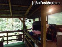 [P08]  -- <small>// FĂRĂ DESCRIERE</small> » foto by diana-camelia*
 - 
<span class="allrVoted glyphicon glyphicon-heart hidden" id="av464084"></span>
<a class="m-l-10 hidden" id="sv464084" onclick="voting_Foto_DelVot(,464084,9750)" role="button">șterge vot <span class="glyphicon glyphicon-remove"></span></a>
<a id="v9464084" class=" c-red"  onclick="voting_Foto_SetVot(464084)" role="button"><span class="glyphicon glyphicon-heart-empty"></span> <b>LIKE</b> = Votează poza</a> <img class="hidden"  id="f464084W9" src="/imagini/loader.gif" border="0" /><span class="AjErrMes hidden" id="e464084ErM"></span>