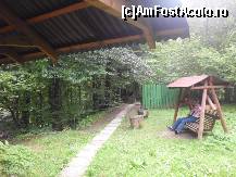 [P09]  -- <small>// FĂRĂ DESCRIERE</small> » foto by diana-camelia*
 - 
<span class="allrVoted glyphicon glyphicon-heart hidden" id="av464085"></span>
<a class="m-l-10 hidden" id="sv464085" onclick="voting_Foto_DelVot(,464085,9750)" role="button">șterge vot <span class="glyphicon glyphicon-remove"></span></a>
<a id="v9464085" class=" c-red"  onclick="voting_Foto_SetVot(464085)" role="button"><span class="glyphicon glyphicon-heart-empty"></span> <b>LIKE</b> = Votează poza</a> <img class="hidden"  id="f464085W9" src="/imagini/loader.gif" border="0" /><span class="AjErrMes hidden" id="e464085ErM"></span>