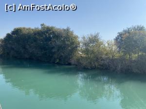[P09] Manavgat - pe rau » foto by mishu
 - 
<span class="allrVoted glyphicon glyphicon-heart hidden" id="av1334238"></span>
<a class="m-l-10 hidden" id="sv1334238" onclick="voting_Foto_DelVot(,1334238,9765)" role="button">șterge vot <span class="glyphicon glyphicon-remove"></span></a>
<a id="v91334238" class=" c-red"  onclick="voting_Foto_SetVot(1334238)" role="button"><span class="glyphicon glyphicon-heart-empty"></span> <b>LIKE</b> = Votează poza</a> <img class="hidden"  id="f1334238W9" src="/imagini/loader.gif" border="0" /><span class="AjErrMes hidden" id="e1334238ErM"></span>