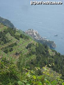 [P01] Corniglia,vazuta de sus,de pe sosea » foto by georgiana
 - 
<span class="allrVoted glyphicon glyphicon-heart hidden" id="av244366"></span>
<a class="m-l-10 hidden" id="sv244366" onclick="voting_Foto_DelVot(,244366,9916)" role="button">șterge vot <span class="glyphicon glyphicon-remove"></span></a>
<a id="v9244366" class=" c-red"  onclick="voting_Foto_SetVot(244366)" role="button"><span class="glyphicon glyphicon-heart-empty"></span> <b>LIKE</b> = Votează poza</a> <img class="hidden"  id="f244366W9" src="/imagini/loader.gif" border="0" /><span class="AjErrMes hidden" id="e244366ErM"></span>