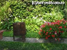 [P25] Pe terasa restaurantului » foto by georgiana
 - 
<span class="allrVoted glyphicon glyphicon-heart hidden" id="av244390"></span>
<a class="m-l-10 hidden" id="sv244390" onclick="voting_Foto_DelVot(,244390,9916)" role="button">șterge vot <span class="glyphicon glyphicon-remove"></span></a>
<a id="v9244390" class=" c-red"  onclick="voting_Foto_SetVot(244390)" role="button"><span class="glyphicon glyphicon-heart-empty"></span> <b>LIKE</b> = Votează poza</a> <img class="hidden"  id="f244390W9" src="/imagini/loader.gif" border="0" /><span class="AjErrMes hidden" id="e244390ErM"></span>