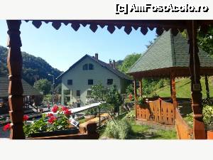 [P02]  -- <small>// FĂRĂ DESCRIERE</small> » foto by Adi Curiuc*
 - 
<span class="allrVoted glyphicon glyphicon-heart hidden" id="av487309"></span>
<a class="m-l-10 hidden" id="sv487309" onclick="voting_Foto_DelVot(,487309,9922)" role="button">șterge vot <span class="glyphicon glyphicon-remove"></span></a>
<a id="v9487309" class=" c-red"  onclick="voting_Foto_SetVot(487309)" role="button"><span class="glyphicon glyphicon-heart-empty"></span> <b>LIKE</b> = Votează poza</a> <img class="hidden"  id="f487309W9" src="/imagini/loader.gif" border="0" /><span class="AjErrMes hidden" id="e487309ErM"></span>