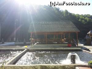 [P03]  -- <small>// FĂRĂ DESCRIERE</small> » foto by Adi Curiuc*
 - 
<span class="allrVoted glyphicon glyphicon-heart hidden" id="av487310"></span>
<a class="m-l-10 hidden" id="sv487310" onclick="voting_Foto_DelVot(,487310,9922)" role="button">șterge vot <span class="glyphicon glyphicon-remove"></span></a>
<a id="v9487310" class=" c-red"  onclick="voting_Foto_SetVot(487310)" role="button"><span class="glyphicon glyphicon-heart-empty"></span> <b>LIKE</b> = Votează poza</a> <img class="hidden"  id="f487310W9" src="/imagini/loader.gif" border="0" /><span class="AjErrMes hidden" id="e487310ErM"></span>