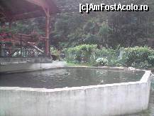 [P13] bazinul cu pastravi somonati - cei mai mari pastravi pe care i-am vazut vreodata » foto by deliutza27
 - 
<span class="allrVoted glyphicon glyphicon-heart hidden" id="av125283"></span>
<a class="m-l-10 hidden" id="sv125283" onclick="voting_Foto_DelVot(,125283,9922)" role="button">șterge vot <span class="glyphicon glyphicon-remove"></span></a>
<a id="v9125283" class=" c-red"  onclick="voting_Foto_SetVot(125283)" role="button"><span class="glyphicon glyphicon-heart-empty"></span> <b>LIKE</b> = Votează poza</a> <img class="hidden"  id="f125283W9" src="/imagini/loader.gif" border="0" /><span class="AjErrMes hidden" id="e125283ErM"></span>