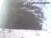 [P08] banc de pastravi micuti in unul din bazine » foto by deliutza27
 - 
<span class="allrVoted glyphicon glyphicon-heart hidden" id="av125276"></span>
<a class="m-l-10 hidden" id="sv125276" onclick="voting_Foto_DelVot(,125276,9922)" role="button">șterge vot <span class="glyphicon glyphicon-remove"></span></a>
<a id="v9125276" class=" c-red"  onclick="voting_Foto_SetVot(125276)" role="button"><span class="glyphicon glyphicon-heart-empty"></span> <b>LIKE</b> = Votează poza</a> <img class="hidden"  id="f125276W9" src="/imagini/loader.gif" border="0" /><span class="AjErrMes hidden" id="e125276ErM"></span>