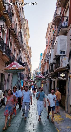 [P05] Alicante - Calle San Francisco; oare ciupercile sunt otrăvitoare?!! » foto by Carmen Ion
 - 
<span class="allrVoted glyphicon glyphicon-heart hidden" id="av1315697"></span>
<a class="m-l-10 hidden" id="sv1315697" onclick="voting_Foto_DelVot(,1315697,9941)" role="button">șterge vot <span class="glyphicon glyphicon-remove"></span></a>
<a id="v91315697" class=" c-red"  onclick="voting_Foto_SetVot(1315697)" role="button"><span class="glyphicon glyphicon-heart-empty"></span> <b>LIKE</b> = Votează poza</a> <img class="hidden"  id="f1315697W9" src="/imagini/loader.gif" border="0" /><span class="AjErrMes hidden" id="e1315697ErM"></span>