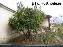 [P28] V-ar placea sa aveti asa ceva acasa ? » foto by johnnyredlabel †
 - 
<span class="allrVoted glyphicon glyphicon-heart hidden" id="av315461"></span>
<a class="m-l-10 hidden" id="sv315461" onclick="voting_Foto_DelVot(,315461,9990)" role="button">șterge vot <span class="glyphicon glyphicon-remove"></span></a>
<a id="v9315461" class=" c-red"  onclick="voting_Foto_SetVot(315461)" role="button"><span class="glyphicon glyphicon-heart-empty"></span> <b>LIKE</b> = Votează poza</a> <img class="hidden"  id="f315461W9" src="/imagini/loader.gif" border="0" /><span class="AjErrMes hidden" id="e315461ErM"></span>