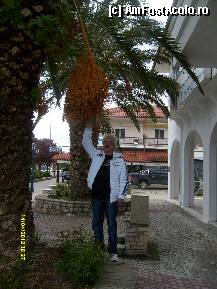 [P33] Ne-am intors in Kallithea ! » foto by johnnyredlabel †
 - 
<span class="allrVoted glyphicon glyphicon-heart hidden" id="av315466"></span>
<a class="m-l-10 hidden" id="sv315466" onclick="voting_Foto_DelVot(,315466,9990)" role="button">șterge vot <span class="glyphicon glyphicon-remove"></span></a>
<a id="v9315466" class=" c-red"  onclick="voting_Foto_SetVot(315466)" role="button"><span class="glyphicon glyphicon-heart-empty"></span> <b>LIKE</b> = Votează poza</a> <img class="hidden"  id="f315466W9" src="/imagini/loader.gif" border="0" /><span class="AjErrMes hidden" id="e315466ErM"></span>