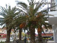 [P34] primavara greceasca » foto by johnnyredlabel †
 - 
<span class="allrVoted glyphicon glyphicon-heart hidden" id="av315467"></span>
<a class="m-l-10 hidden" id="sv315467" onclick="voting_Foto_DelVot(,315467,9990)" role="button">șterge vot <span class="glyphicon glyphicon-remove"></span></a>
<a id="v9315467" class=" c-red"  onclick="voting_Foto_SetVot(315467)" role="button"><span class="glyphicon glyphicon-heart-empty"></span> <b>LIKE</b> = Votează poza</a> <img class="hidden"  id="f315467W9" src="/imagini/loader.gif" border="0" /><span class="AjErrMes hidden" id="e315467ErM"></span>