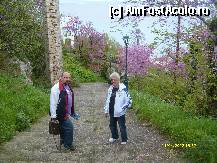 [P35] pe drumul spre plaja din Kallithea » foto by johnnyredlabel †
 - 
<span class="allrVoted glyphicon glyphicon-heart hidden" id="av315468"></span>
<a class="m-l-10 hidden" id="sv315468" onclick="voting_Foto_DelVot(,315468,9990)" role="button">șterge vot <span class="glyphicon glyphicon-remove"></span></a>
<a id="v9315468" class=" c-red"  onclick="voting_Foto_SetVot(315468)" role="button"><span class="glyphicon glyphicon-heart-empty"></span> <b>LIKE</b> = Votează poza</a> <img class="hidden"  id="f315468W9" src="/imagini/loader.gif" border="0" /><span class="AjErrMes hidden" id="e315468ErM"></span>