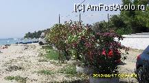 [P02] multe flori pe plaja Kalogria Beach » foto by adryana
 - 
<span class="allrVoted glyphicon glyphicon-heart hidden" id="av101316"></span>
<a class="m-l-10 hidden" id="sv101316" onclick="voting_Foto_DelVot(,101316,10079)" role="button">șterge vot <span class="glyphicon glyphicon-remove"></span></a>
<a id="v9101316" class=" c-red"  onclick="voting_Foto_SetVot(101316)" role="button"><span class="glyphicon glyphicon-heart-empty"></span> <b>LIKE</b> = Votează poza</a> <img class="hidden"  id="f101316W9" src="/imagini/loader.gif" border="0" /><span class="AjErrMes hidden" id="e101316ErM"></span>
