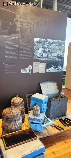 [P03] Meșteșuguri - apicultură. » foto by tata123 🔱
 - 
<span class="allrVoted glyphicon glyphicon-heart hidden" id="av1501932"></span>
<a class="m-l-10 hidden" id="sv1501932" onclick="voting_Foto_DelVot(,1501932,10079)" role="button">șterge vot <span class="glyphicon glyphicon-remove"></span></a>
<a id="v91501932" class=" c-red"  onclick="voting_Foto_SetVot(1501932)" role="button"><span class="glyphicon glyphicon-heart-empty"></span> <b>LIKE</b> = Votează poza</a> <img class="hidden"  id="f1501932W9" src="/imagini/loader.gif" border="0" /><span class="AjErrMes hidden" id="e1501932ErM"></span>