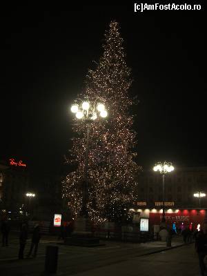 [P17] Pomul de iarnă din fața Domului » foto by Yersinia Pestis
 - 
<span class="allrVoted glyphicon glyphicon-heart hidden" id="av580007"></span>
<a class="m-l-10 hidden" id="sv580007" onclick="voting_Foto_DelVot(,580007,10103)" role="button">șterge vot <span class="glyphicon glyphicon-remove"></span></a>
<a id="v9580007" class=" c-red"  onclick="voting_Foto_SetVot(580007)" role="button"><span class="glyphicon glyphicon-heart-empty"></span> <b>LIKE</b> = Votează poza</a> <img class="hidden"  id="f580007W9" src="/imagini/loader.gif" border="0" /><span class="AjErrMes hidden" id="e580007ErM"></span>