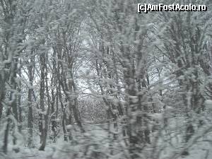 [P20] Și totuși, iarna de acasă...  » foto by Yersinia Pestis
 - 
<span class="allrVoted glyphicon glyphicon-heart hidden" id="av580010"></span>
<a class="m-l-10 hidden" id="sv580010" onclick="voting_Foto_DelVot(,580010,10103)" role="button">șterge vot <span class="glyphicon glyphicon-remove"></span></a>
<a id="v9580010" class=" c-red"  onclick="voting_Foto_SetVot(580010)" role="button"><span class="glyphicon glyphicon-heart-empty"></span> <b>LIKE</b> = Votează poza</a> <img class="hidden"  id="f580010W9" src="/imagini/loader.gif" border="0" /><span class="AjErrMes hidden" id="e580010ErM"></span>