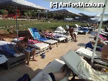 [P16] sezlonguri la piscine , prosoapele se priimesc in camera , daca il lasi pe sezlong si ceri altul ti se da fara pb , fara garantii » foto by gianimary
 - 
<span class="allrVoted glyphicon glyphicon-heart hidden" id="av252189"></span>
<a class="m-l-10 hidden" id="sv252189" onclick="voting_Foto_DelVot(,252189,10114)" role="button">șterge vot <span class="glyphicon glyphicon-remove"></span></a>
<a id="v9252189" class=" c-red"  onclick="voting_Foto_SetVot(252189)" role="button"><span class="glyphicon glyphicon-heart-empty"></span> <b>LIKE</b> = Votează poza</a> <img class="hidden"  id="f252189W9" src="/imagini/loader.gif" border="0" /><span class="AjErrMes hidden" id="e252189ErM"></span>