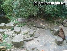 [P08] Lapidarium si locatarul sau » foto by a.sr*
 - 
<span class="allrVoted glyphicon glyphicon-heart hidden" id="av252706"></span>
<a class="m-l-10 hidden" id="sv252706" onclick="voting_Foto_DelVot(,252706,10138)" role="button">șterge vot <span class="glyphicon glyphicon-remove"></span></a>
<a id="v9252706" class=" c-red"  onclick="voting_Foto_SetVot(252706)" role="button"><span class="glyphicon glyphicon-heart-empty"></span> <b>LIKE</b> = Votează poza</a> <img class="hidden"  id="f252706W9" src="/imagini/loader.gif" border="0" /><span class="AjErrMes hidden" id="e252706ErM"></span>