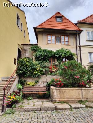 [P32] Pe strada Rooseveltova » foto by crismis
 - 
<span class="allrVoted glyphicon glyphicon-heart hidden" id="av1411514"></span>
<a class="m-l-10 hidden" id="sv1411514" onclick="voting_Foto_DelVot(,1411514,10138)" role="button">șterge vot <span class="glyphicon glyphicon-remove"></span></a>
<a id="v91411514" class=" c-red"  onclick="voting_Foto_SetVot(1411514)" role="button"><span class="glyphicon glyphicon-heart-empty"></span> <b>LIKE</b> = Votează poza</a> <img class="hidden"  id="f1411514W9" src="/imagini/loader.gif" border="0" /><span class="AjErrMes hidden" id="e1411514ErM"></span>