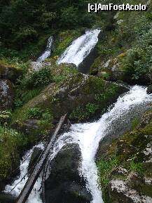 [P06] cascada din Triberg in alta portiune » foto by Cristian_h
 - 
<span class="allrVoted glyphicon glyphicon-heart hidden" id="av257886"></span>
<a class="m-l-10 hidden" id="sv257886" onclick="voting_Foto_DelVot(,257886,10219)" role="button">șterge vot <span class="glyphicon glyphicon-remove"></span></a>
<a id="v9257886" class=" c-red"  onclick="voting_Foto_SetVot(257886)" role="button"><span class="glyphicon glyphicon-heart-empty"></span> <b>LIKE</b> = Votează poza</a> <img class="hidden"  id="f257886W9" src="/imagini/loader.gif" border="0" /><span class="AjErrMes hidden" id="e257886ErM"></span>