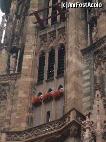 [P28] Freiburg im Breisgau » foto by Cristian_h
 - 
<span class="allrVoted glyphicon glyphicon-heart hidden" id="av275305"></span>
<a class="m-l-10 hidden" id="sv275305" onclick="voting_Foto_DelVot(,275305,10219)" role="button">șterge vot <span class="glyphicon glyphicon-remove"></span></a>
<a id="v9275305" class=" c-red"  onclick="voting_Foto_SetVot(275305)" role="button"><span class="glyphicon glyphicon-heart-empty"></span> <b>LIKE</b> = Votează poza</a> <img class="hidden"  id="f275305W9" src="/imagini/loader.gif" border="0" /><span class="AjErrMes hidden" id="e275305ErM"></span>