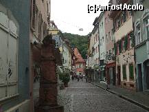 [P04] Freiburg im Breisgau » foto by Cristian_h
 - 
<span class="allrVoted glyphicon glyphicon-heart hidden" id="av275281"></span>
<a class="m-l-10 hidden" id="sv275281" onclick="voting_Foto_DelVot(,275281,10219)" role="button">șterge vot <span class="glyphicon glyphicon-remove"></span></a>
<a id="v9275281" class=" c-red"  onclick="voting_Foto_SetVot(275281)" role="button"><span class="glyphicon glyphicon-heart-empty"></span> <b>LIKE</b> = Votează poza</a> <img class="hidden"  id="f275281W9" src="/imagini/loader.gif" border="0" /><span class="AjErrMes hidden" id="e275281ErM"></span>