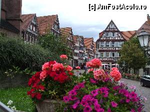 [P06] CALW  » foto by Cristian_h
 - 
<span class="allrVoted glyphicon glyphicon-heart hidden" id="av363651"></span>
<a class="m-l-10 hidden" id="sv363651" onclick="voting_Foto_DelVot(,363651,10219)" role="button">șterge vot <span class="glyphicon glyphicon-remove"></span></a>
<a id="v9363651" class=" c-red"  onclick="voting_Foto_SetVot(363651)" role="button"><span class="glyphicon glyphicon-heart-empty"></span> <b>LIKE</b> = Votează poza</a> <img class="hidden"  id="f363651W9" src="/imagini/loader.gif" border="0" /><span class="AjErrMes hidden" id="e363651ErM"></span>